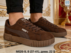 купить Dageni M026-9 оптом