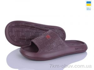 купить Golden Lion 144 шоколадний оптом