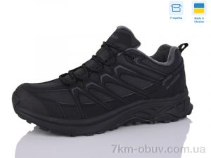 купить Restime BMZ25162  d.grey оптом