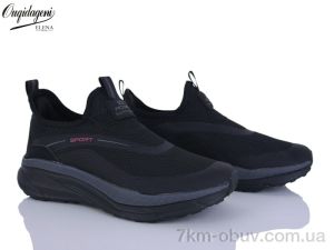 купить Dageni A2771-7 оптом