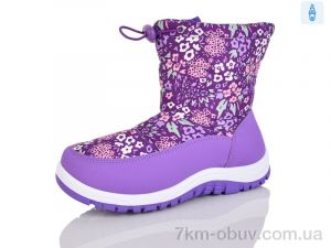 купить M&L  Alex13 528-3 фіолетовий оптом