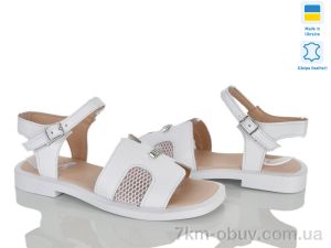 купить Ailinda 487-8 оптом