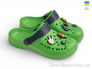 купить Rai shoes 009 зелений оптом