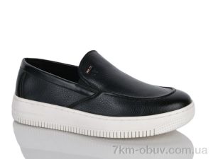 купить Nasite D116-3C оптом