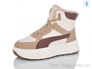 купить DaFuYuan HK9027-5 оптом