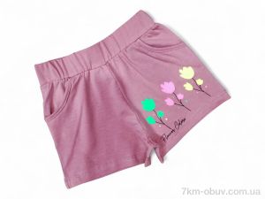 купить Kids-modnik 18158 т.пудра оптом