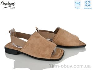 купить оптом Dageni F2311-3