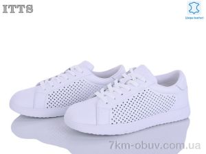 купить ITTS P05-7 оптом