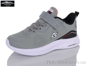 купить Baas K6612-2 оптом