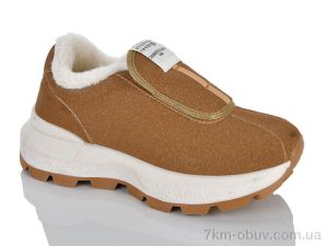 купить оптом DINO ALBAT M801(KL801) brown