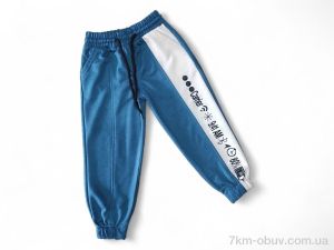 купить Kids-modnik 8001 т.бірюзовий оптом
