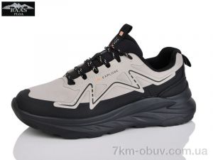 купить Baas L1889-26 оптом