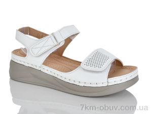 купить Leguzaza 727-2 оптом