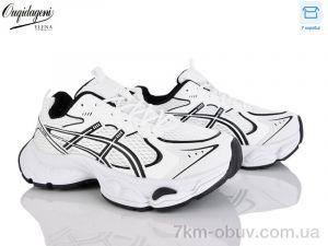 купить Dageni MN256-2 оптом