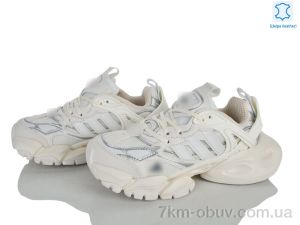 купить Olimp B0040-6 оптом
