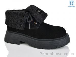 купить Teetspace-Trasta-Egga WMP1116-1 оптом