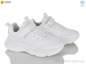 купить Clibee EC803-1 оптом