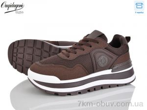 купить Dageni MN258-5 оптом