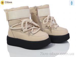 купить Clibee B40521-6 beige оптом