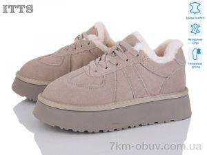купить ITTS F281-13 оптом
