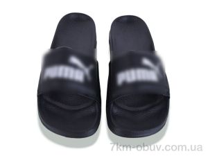 купить Kaia W-PM01-50 оптом