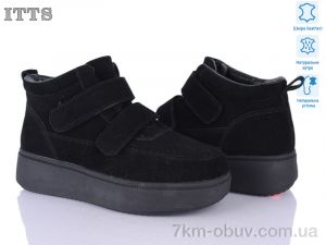 купить ITTS K700-1 оптом