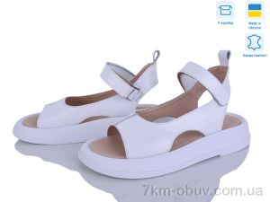 купить Ailinda 444-8 оптом