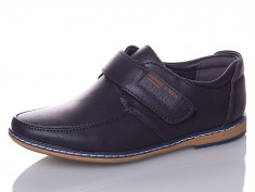 купить Paliament C6575-3 оптом