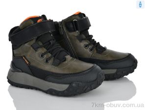 купить Clibee-ShoSho HC541 a.green-orange оптом