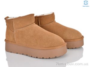 купить Мир 4625-A3301 camel оптом
