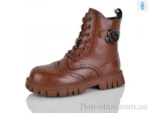 купить KEWK M27-27 brown оптом